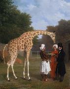 Jacques-Laurent Agasse The Nuian Giraffe (mk25) USA oil painting artist